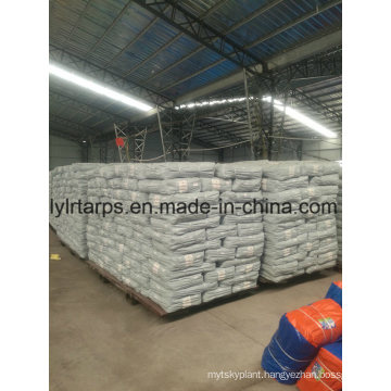 Finished PE Tarpaulin Truck Cover, Plastic Tarpaulin Sheet, HDPE Woven Fabric Tarpaulin, LDPE Coated Tarpaulin, PE Tarp Sheet